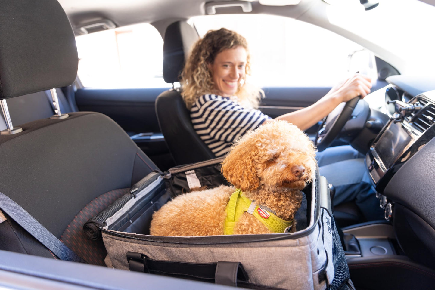 Hunde-Transportwagen 3-in-1, rot