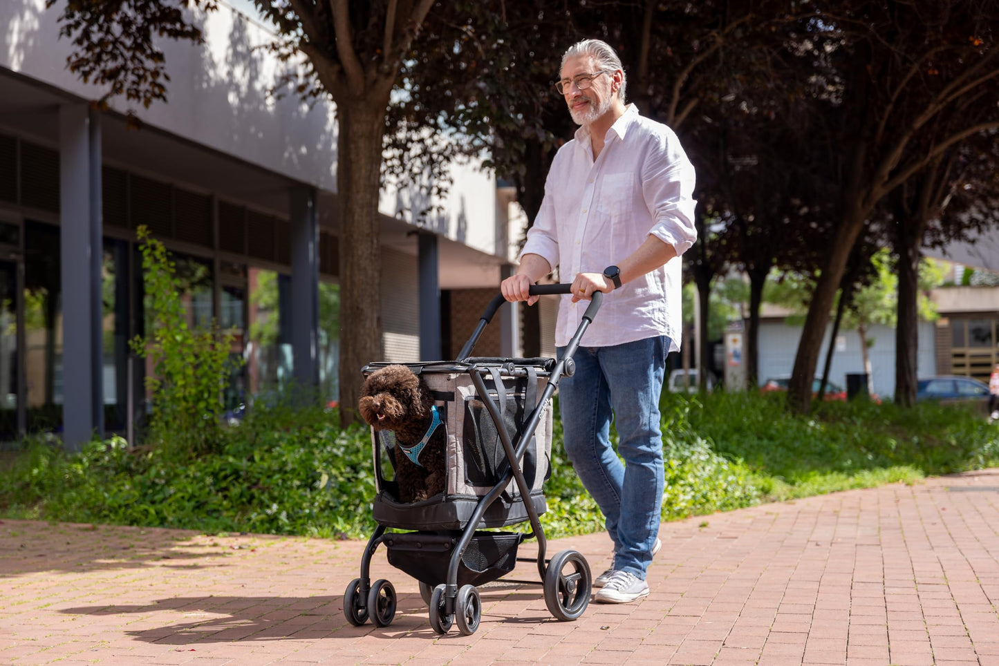 Hunde-Transportwagen 3-in-1, rot