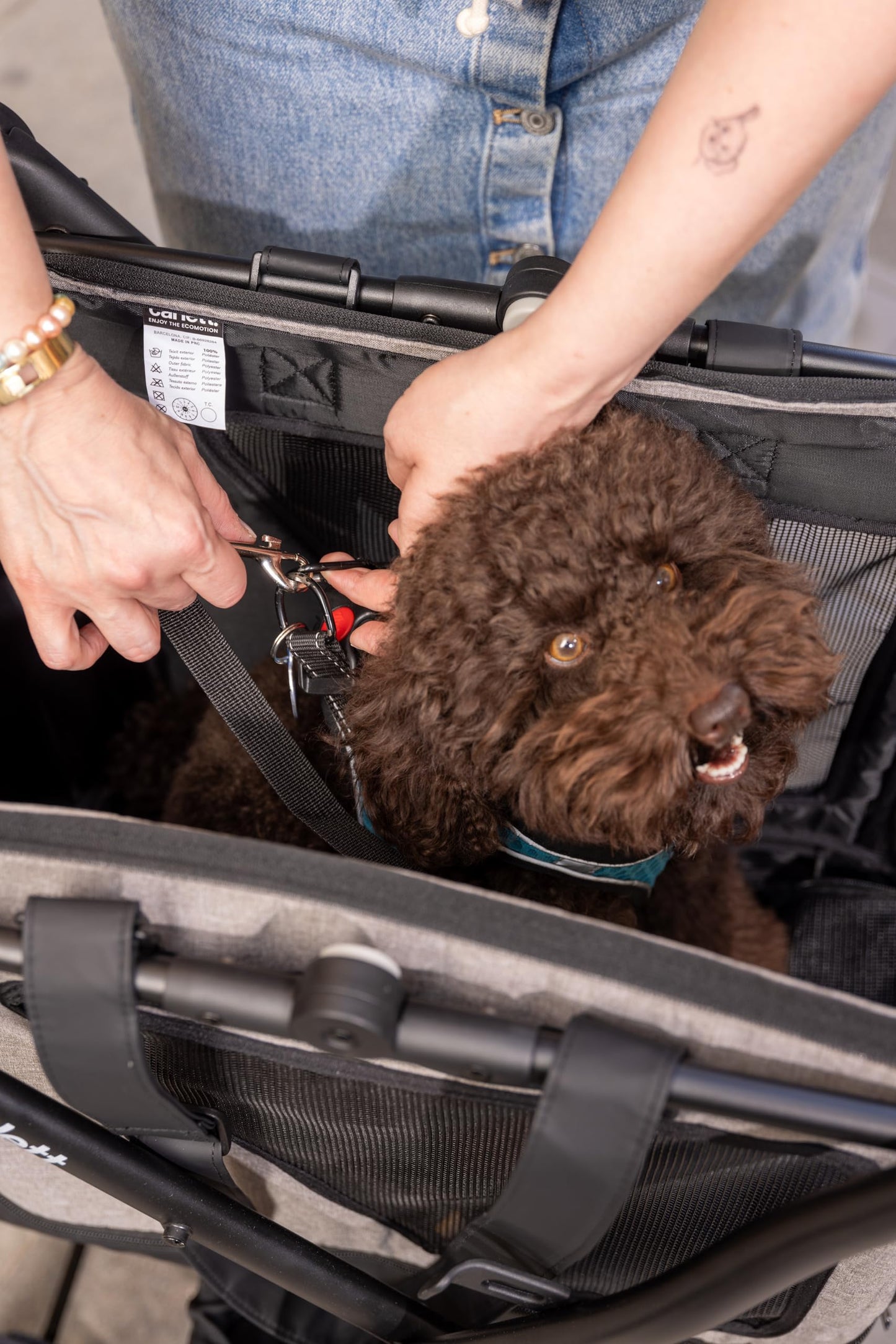 Hunde-Transportwagen 3-in-1, rot