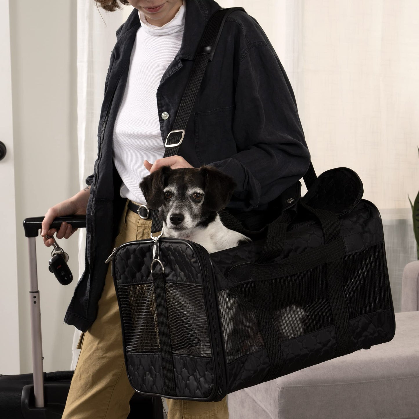 Hundetransporttasche, flugzeugtauglich, schwarz, Größe L